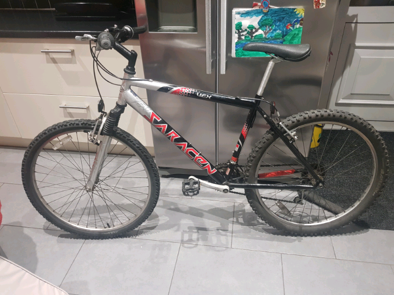 team saracen mountain bike